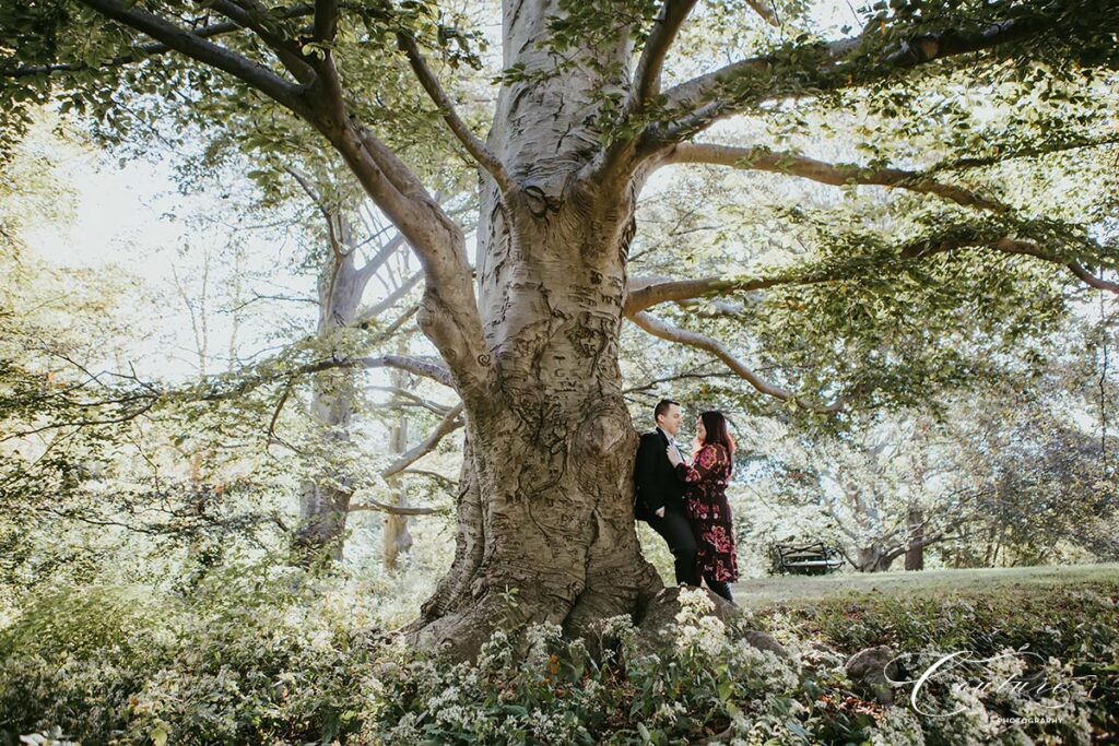 Engagement Session at Edgerton Park in New Haven, CT