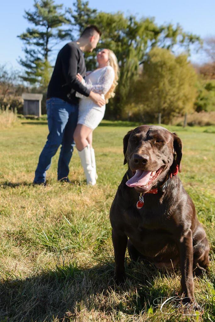 Engagement Session at Gouveia Vineyards in Wallingford, CT