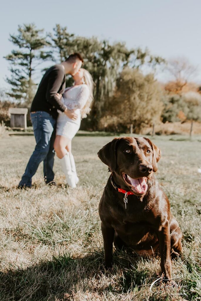 Engagement Session at Gouveia Vineyards in Wallingford, CT